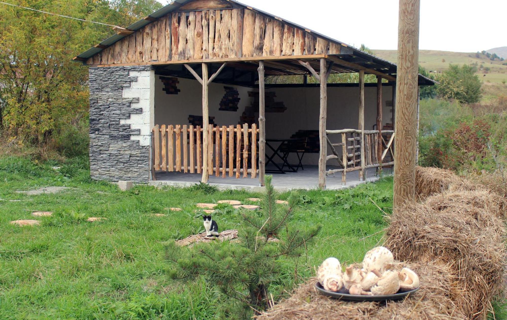 Campsite Glamping Eco Valley Shahumyan